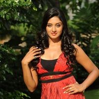 Vimala Raman Hot Photo Shoot Pictures | Picture 63124
